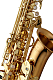Yanagisawa AWO2 - Alto Saxophone : Image 3