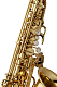 Yanagisawa AWO1 - Alto Saxophone : Image 2