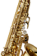 Yanagisawa AWO1 - Alto Saxophone : Image 3