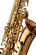 Yanagisawa AWO2 - Alto Saxophone : Image 4