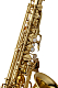 Yanagisawa AWO10 - Alto Saxophone : Image 2