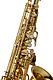 Yanagisawa AWO10 - Alto Saxophone : Image 3