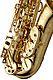 Yanagisawa AWO10 - Alto Saxophone : Image 5