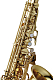 Yanagisawa AWO10U - Unlacquered Alto Saxophone : Image 2
