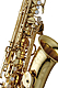 Yanagisawa AWO10U - Unlacquered Alto Saxophone : Image 4
