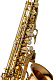 Yanagisawa AWO20 - Alto Saxophone : Image 2