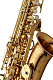 Yanagisawa AWO20 - Alto Saxophone : Image 3