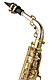 Yanagisawa AWO30 - Alto Saxophone : Image 2