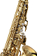 Yanagisawa AWO30 - Alto Saxophone : Image 2