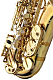 Yanagisawa AWO30 - Alto Saxophone : Image 4