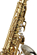 Yanagisawa AWO33 - Alto Saxophone : Image 2