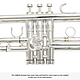 Getzen 3003S Genesis Custom - Bb Trumpet : Image 2