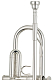 Yamaha YTR-8310ZS03 Custom - Bb Trumpet : Image 1