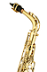 Eastman EAS-253 - Alto Saxophone : Image 2