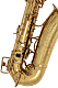Selmer Adolphe Sax - Alto Sax (c.1922) : Image 4
