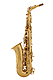 Leblanc LAS-211DIR - Alto Saxophone : Image 2