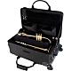 Protec PB301VAX Trumpet Combo Case on Wheels : Image 3