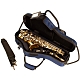 Protec PB304CTBX Alto Sax Case - Blue : Image 2