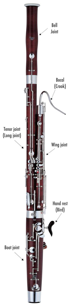 Bassoon Care