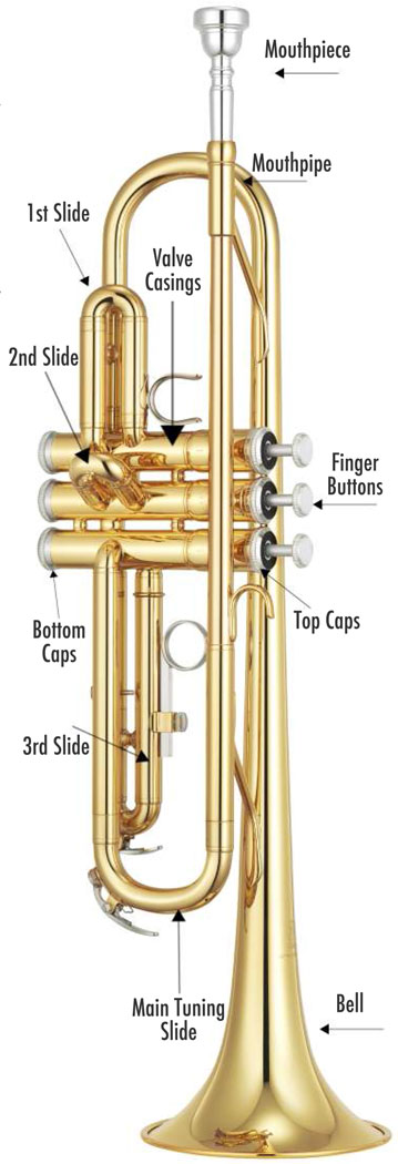 Trumpet Care