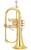 Flugel Horns