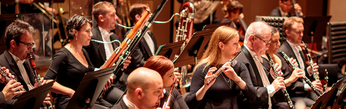 Woodwinds in the Orchestra